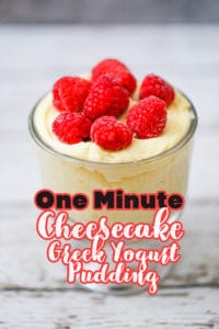 One Minute Cheesecake Yogurt Pudding
