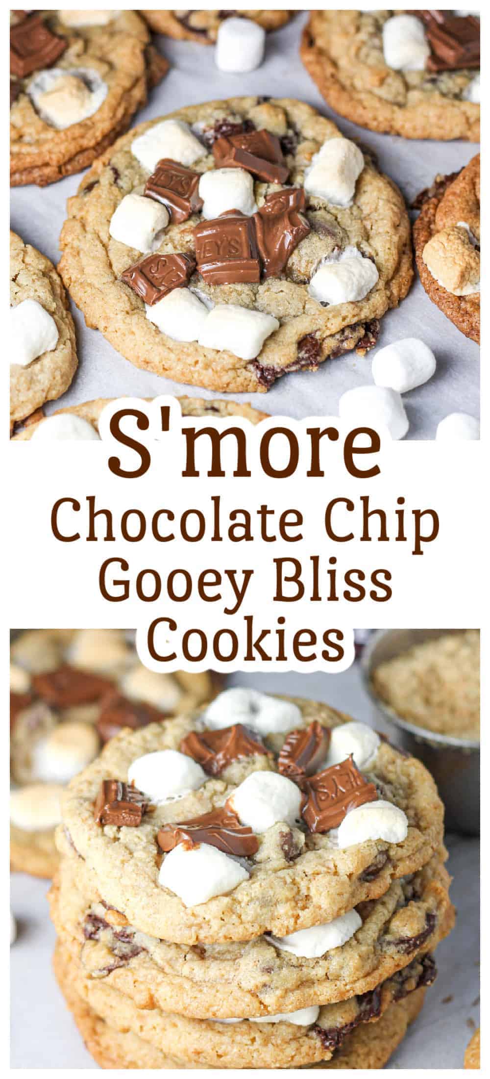 S'more Chocolate Chip Gooey Bliss Cookies