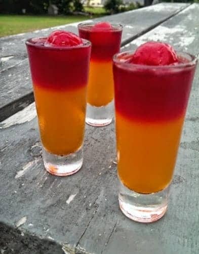 “Flip-Flop” Tequila Sunrise Jello Shots