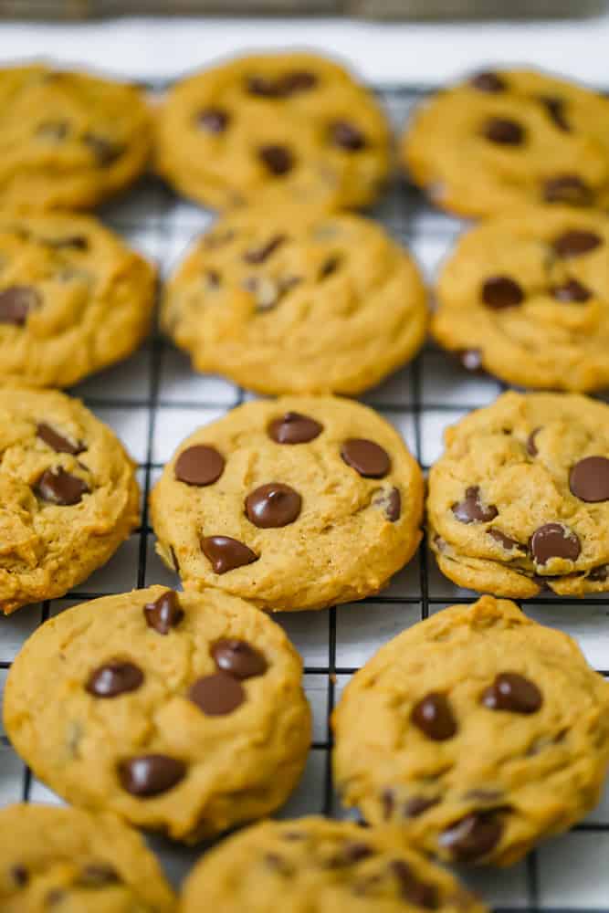 rows of pumpkin chocolate chip cookies