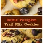 Rustic Pumpkin Trail Mix Cookies