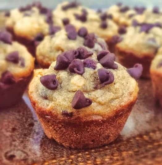 Skinny Peanut Butter Banana and Chocolate Chip Muffins {GF} The