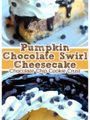 Pumpkin & Chocolate Swirl Cheesecake