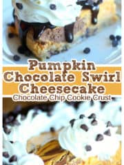 Pumpkin & Chocolate Swirl Cheesecake