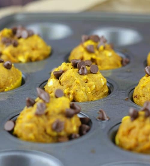Healthy Mini Pumpkin Oat Chocolate Chip Muffins