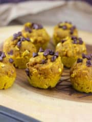 Healthy Mini Pumpkin Oat Chocolate Chip Muffins