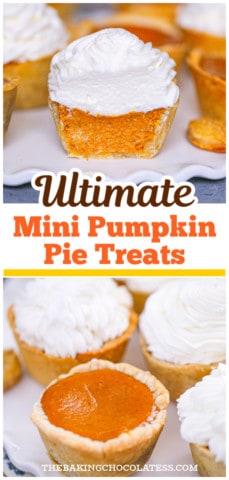 Easy Mini Pumpkin Pies