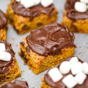 Chocolate Chip Pumpkin Bars