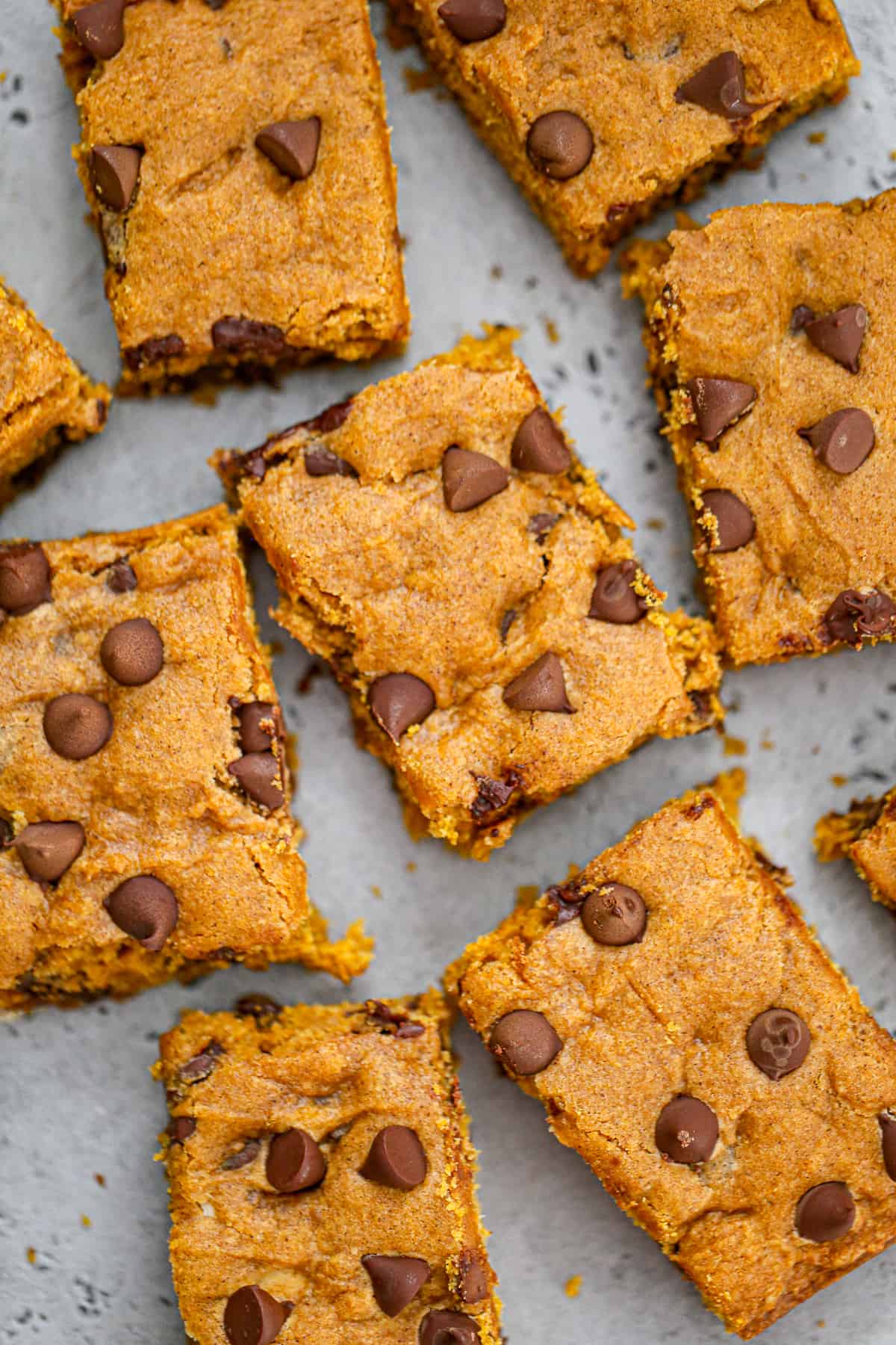 pumpkin chocolate chip bars frosting frosted recipe