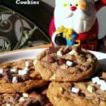 'Comfy Cozy' Hot Chocolate & Marshmallow Cookies