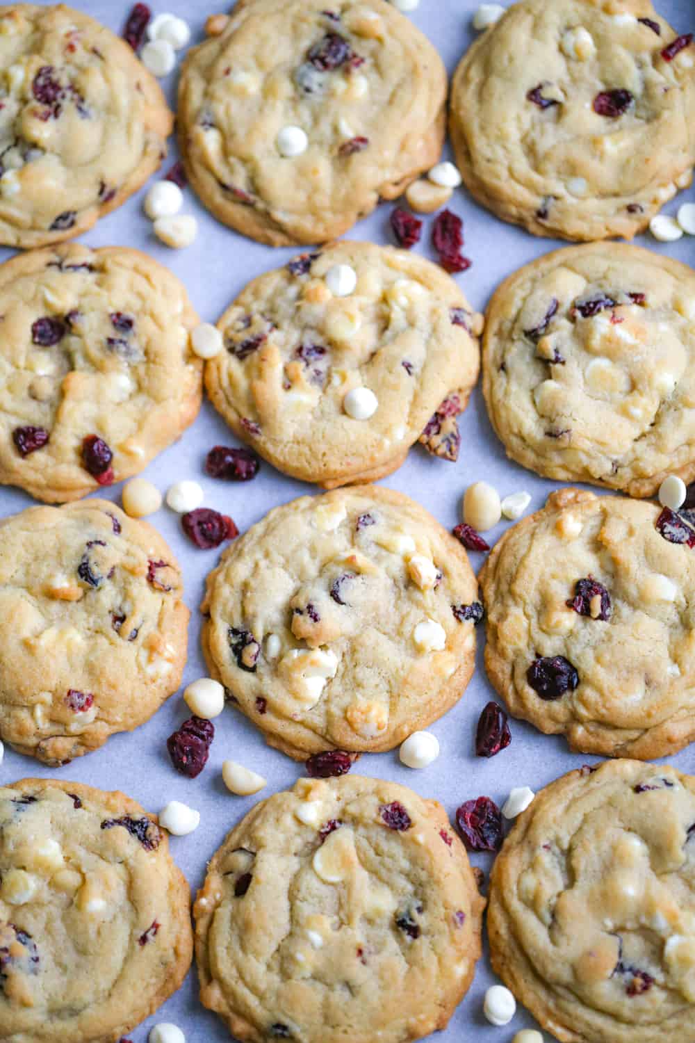 Cranberry Cookies White Chocolate 