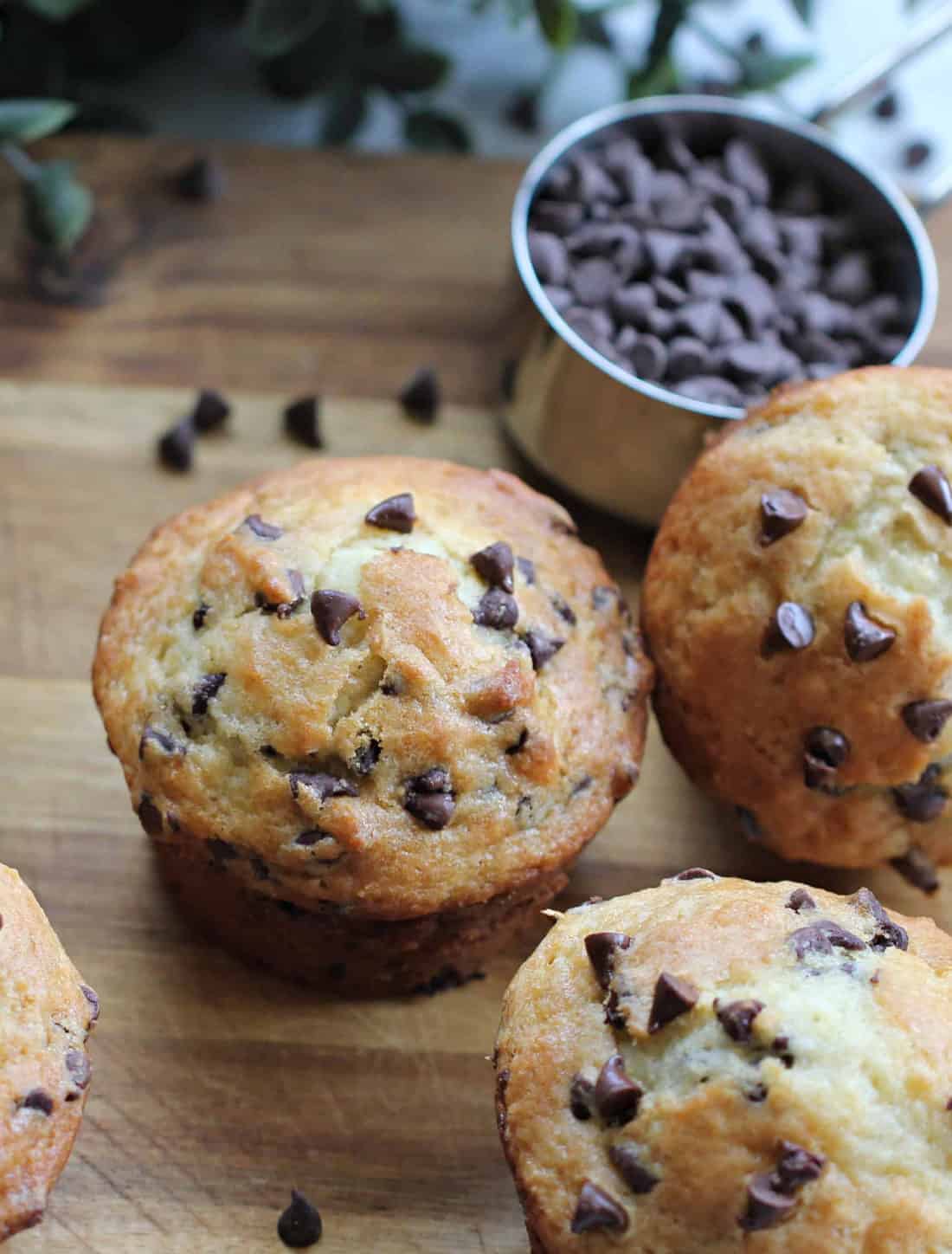 Chocolate Chip Yogurt Muffins The Baking ChocolaTess