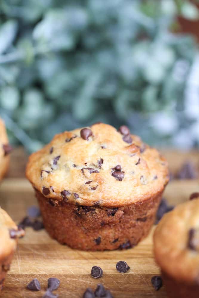Chocolate Chip Yogurt Muffins {Bakery Style}