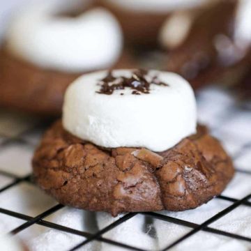 'Hubba-Hubba' Brownie Chocolate Chip Marshmallow Cookies!