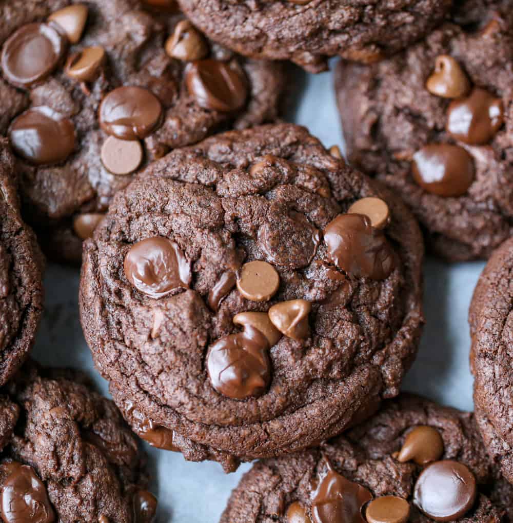 fudgy thick chocolate cookies