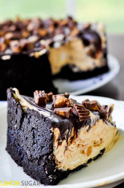 Chocolate Peanut Butter Torte via Lemon-Sugar