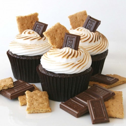 Chocolate S’mores Cupcakes {Recipe} @ Glorious Treats 