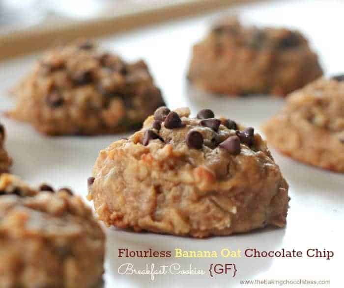Flourless Banana Oat Chocolate Chip Breakfast Cookies {GF}