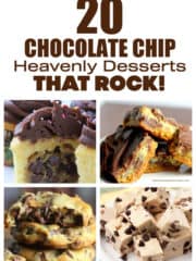 20 Chocolate Chip Heaven Desserts That Rock!