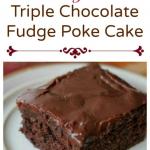 Sinful Triple Chocolate Fudge Poke Cake