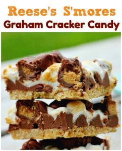 Reese's S'mores Graham Cracker Candy