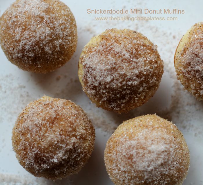 7. cinnamon sugar snickerdoodle Mini Donut Muffins @ The Baking ChocolaTess - snickerdoodle dessert recipes