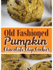 Old Fashioned Pumpkin Chocolate Chip Cookies