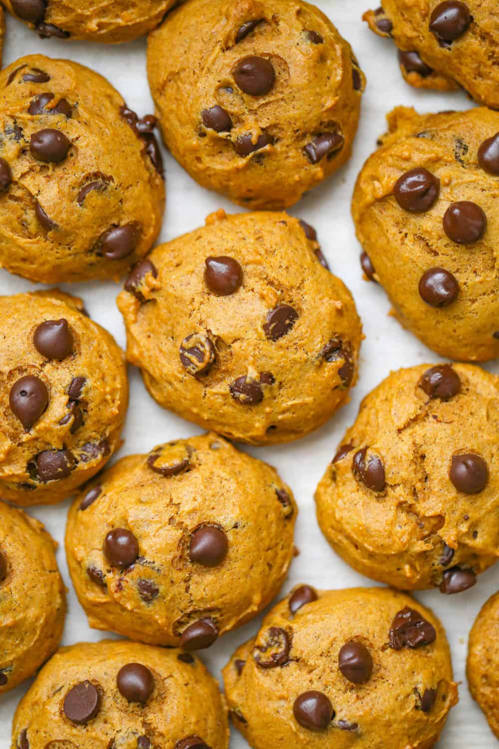 Pumpkin Chocolate Chip Cookies