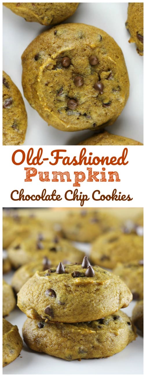Old Fashioned Pumpkin Chocolate Chip Cookies