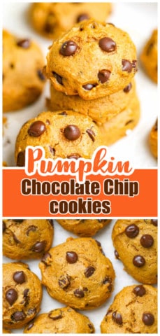 Super Easy Pumpkin Chocolate Chip Cookies