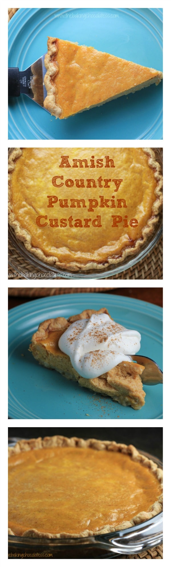 Amish Country Pumpkin Custard Pie