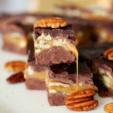 Turtle Fudge