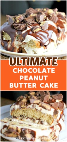 Ultimate Chocolate Peanut Butter Cake