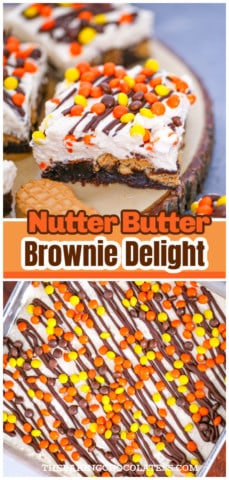Nutter Butter Peanut Butter Brownie Delight