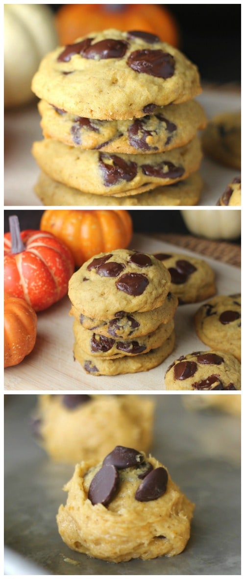 Awesome Chocolate Chip Pumpkin Cookies - The Baking ChocolaTess