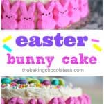 Easy To Decorate Easter Bunny Cake