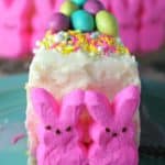 Easy To Decorate Easter Bunny Cake