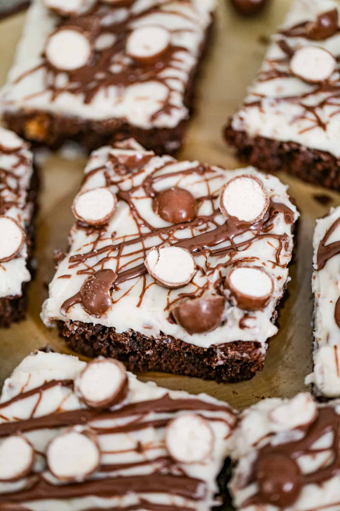 Triple Chocolate Malted Whoppers Brownies