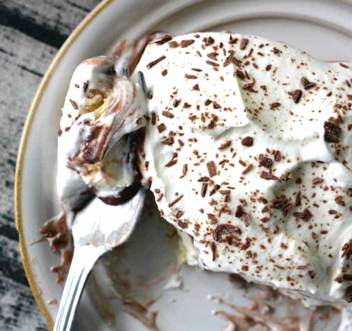 SLICES OF CHOCOLATE DESSERT WITH WHIPPED CREAM AND CREAM CHEESE LAYERS