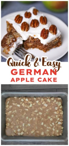 German Spiced Apple Cake