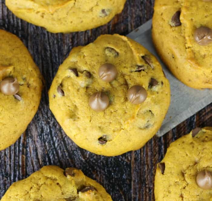 Super Soft Jumbo Pumpkin Chocolate Chip Cookies