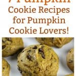 7 Pumpkin Cookie Recipes for Pumpkin Cookie Lovers!