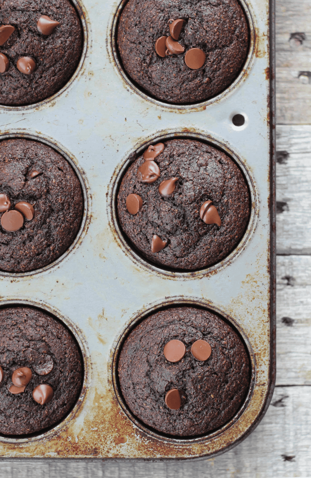 Healthy Fudgy Double Chocolate Muffins