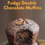 Super Healthy Fudgy Double Chocolate Muffins