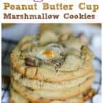 OMG Peanut Butter Marshmallow Cookies