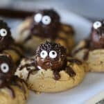 Spider Double Peanut Butter Truffle Cookies