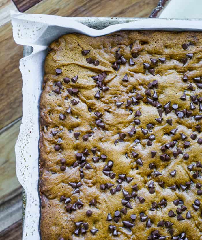Pumpkin Chocolate Chip Cookie Bars