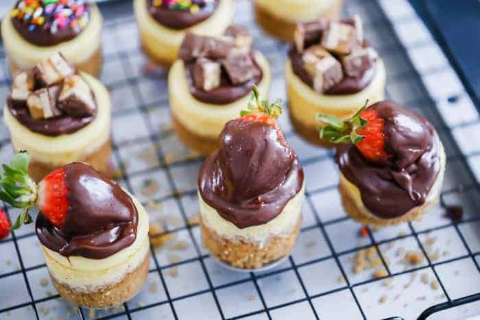 easy mini cheesecakes best recipe