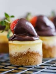 Mini Cheesecakes for Any Occasion!