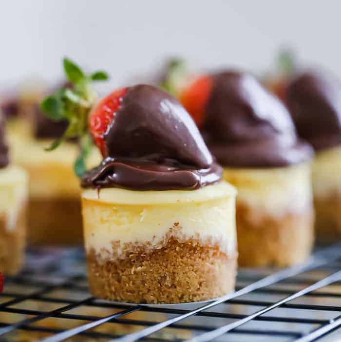 Mini Cheesecakes